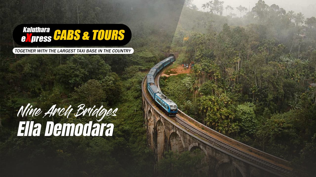 Ella Day Tours