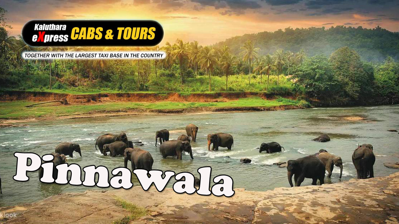Pinnawala