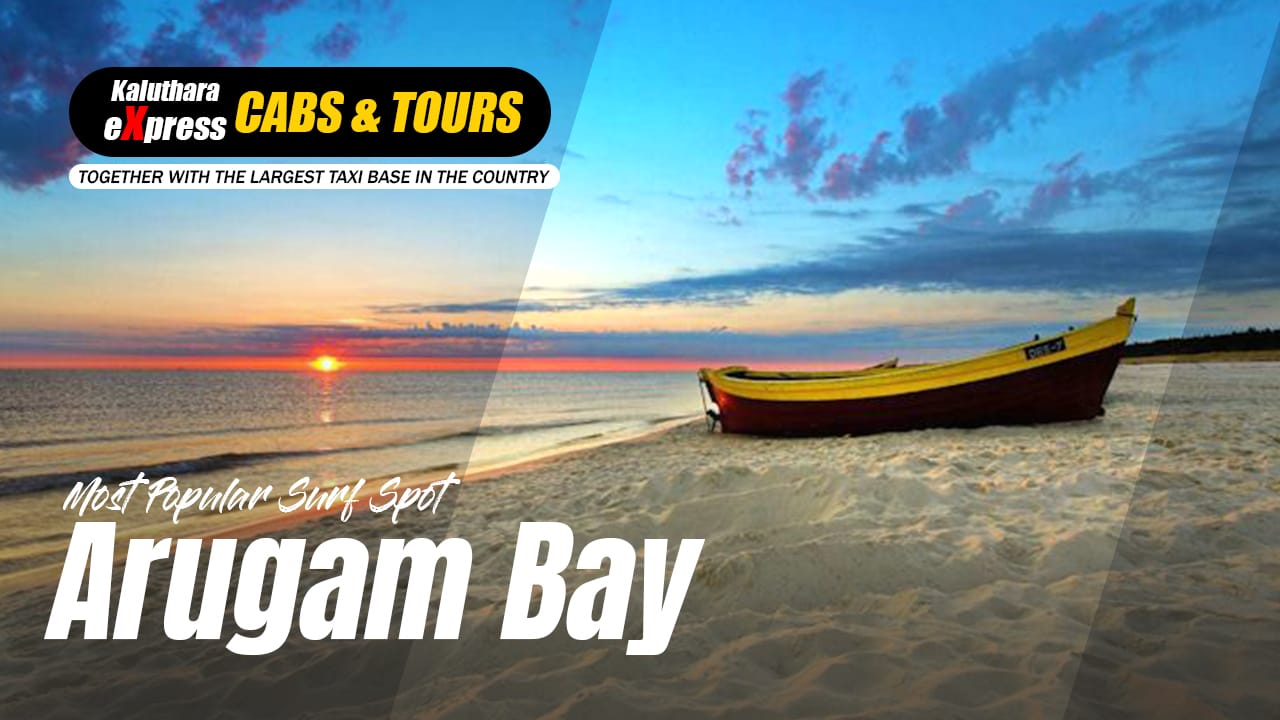 Arugam  Day Tours